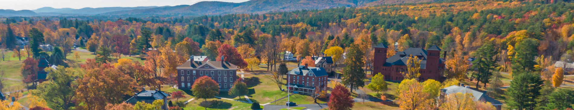 aerial view of foliage on New England campus