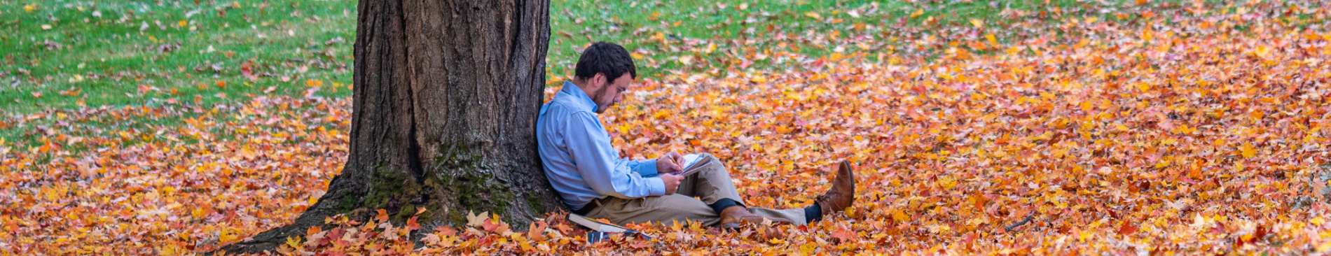 学生 reads under a tree
